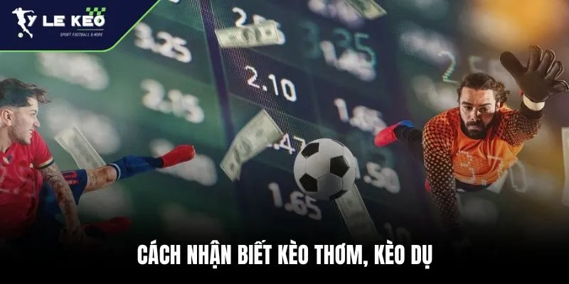 Cách nhận biết kèo thơm, kèo dụ